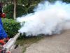 dezinsectie la sol