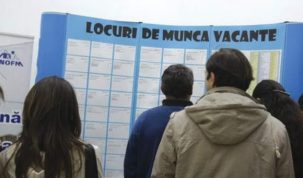 Peste 2.100 de tulceni și-au găsit un loc de muncă în 2025 prin AJOFM Tulcea