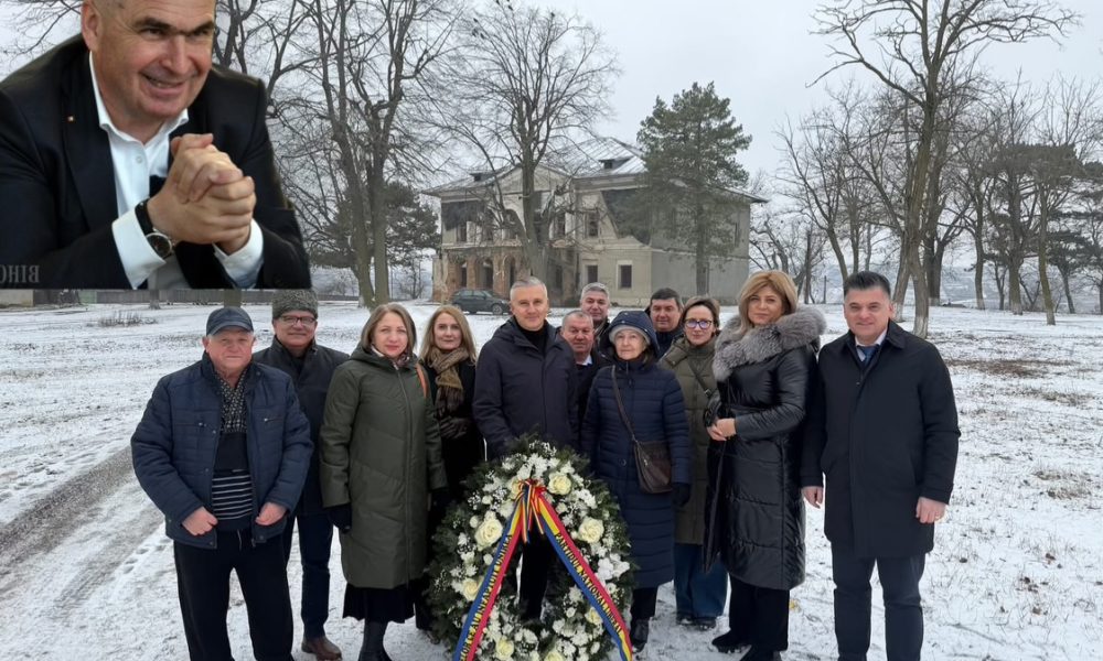 falimente, taxe mai mari și trântori protejați – stiriest.ro