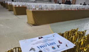 Pasiune! Cei mai valoroși crescători și cele mai apreciate exemplare prezente în expoziţia anuală ”Porumbelul 1929”
